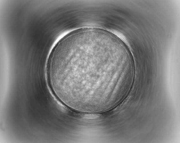 X0000087061440200705021208