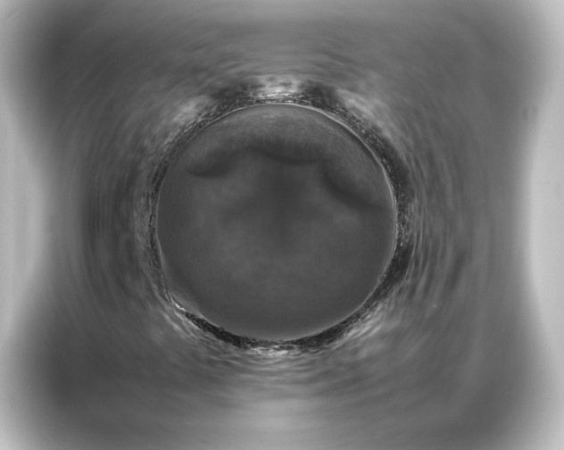 X0000087061441200705021207