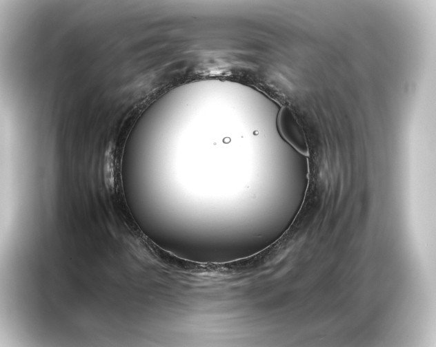 X0000087061442200705021207