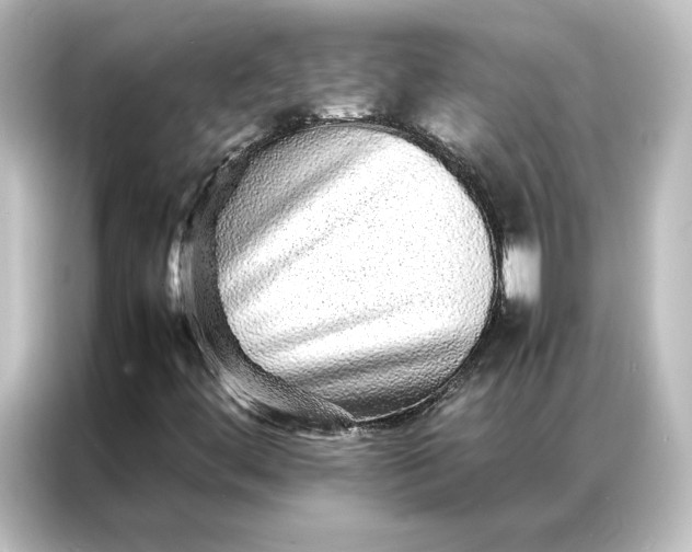 X0000087061444200705021207