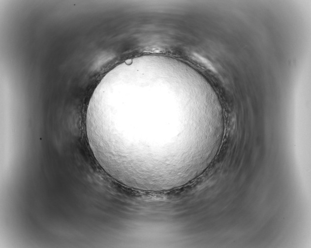 X0000087061446200705021207