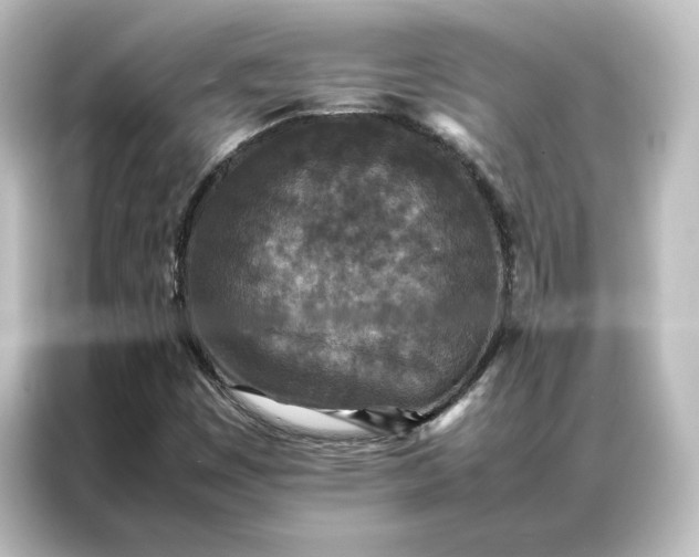 X0000087061449200705021207