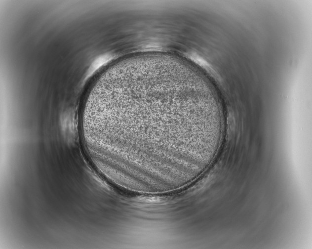 X0000087061450200705021207