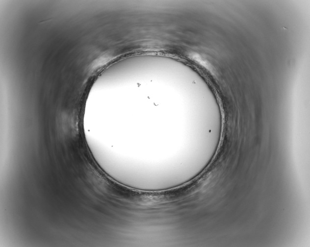 X0000087061451200705021207