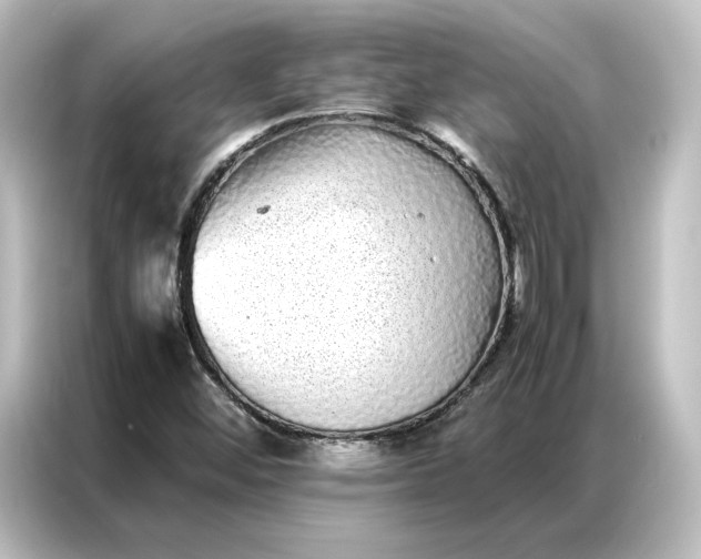 X0000087061452200705021207