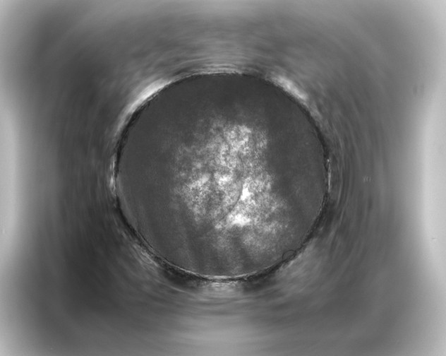 X0000087061453200705021207