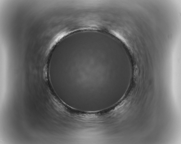 X0000087061455200705021207