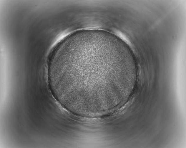 X0000087061456200705021207