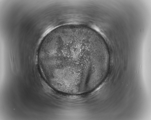 X0000087061459200705021207