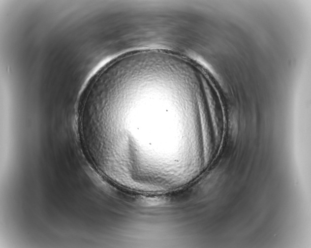 X0000087061460200705021207