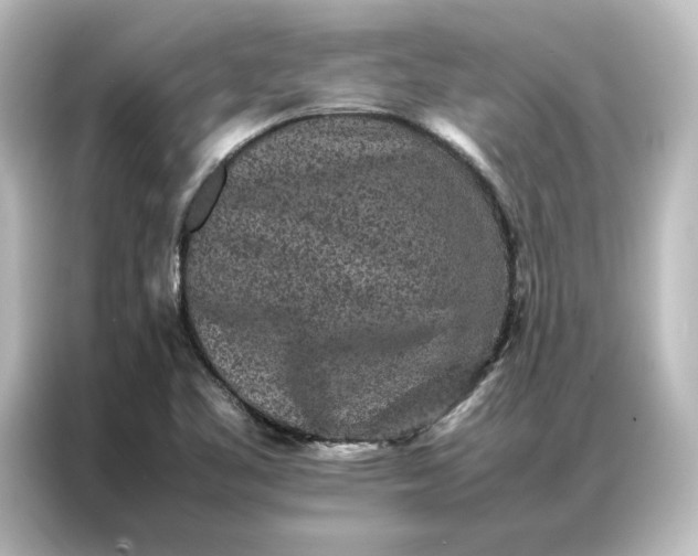 X0000087061461200705021207