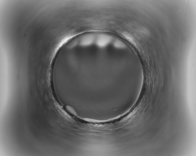 X0000087061463200705021207