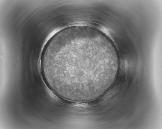 X0000087061466200705021207