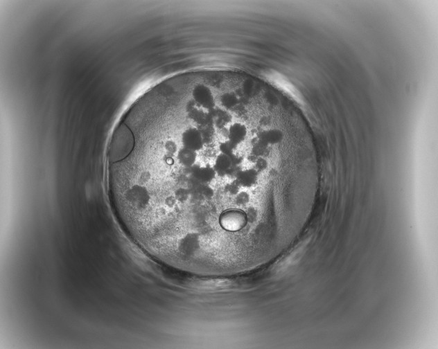 X0000087061467200705021207