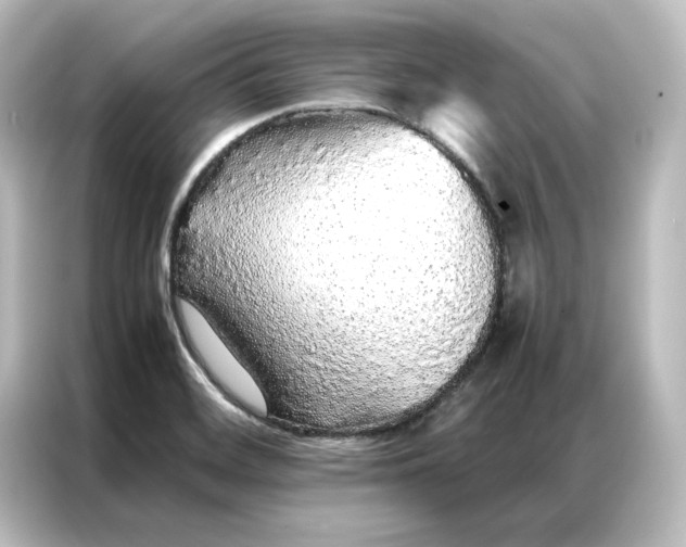 X0000087061468200705021207