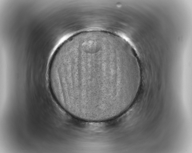 X0000087061469200705021207