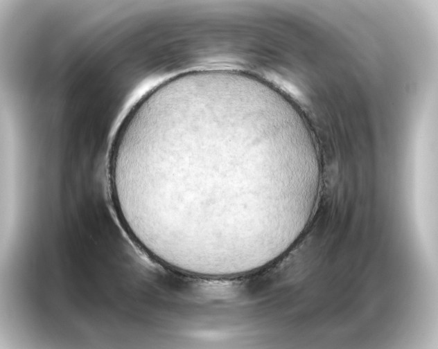 X0000087061470200705021207