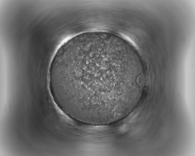 X0000087061471200705021207