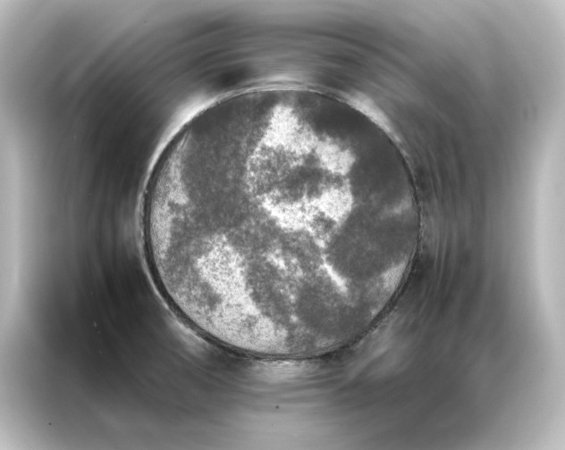 X0000087061474200705021207