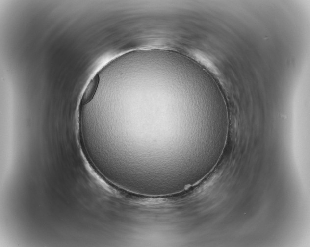 X0000087061479200705021207