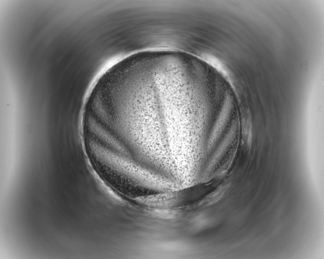 X0000087061480200705021207