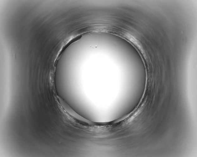 X0000087061481200705021207