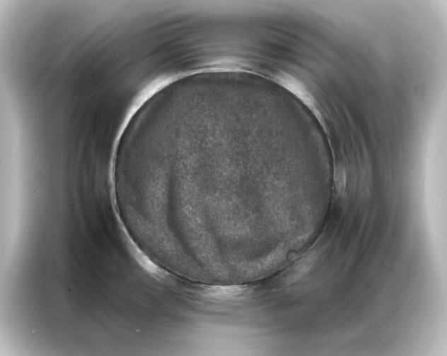 X0000087061482200705021207