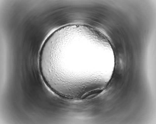 X0000087061484200705021207