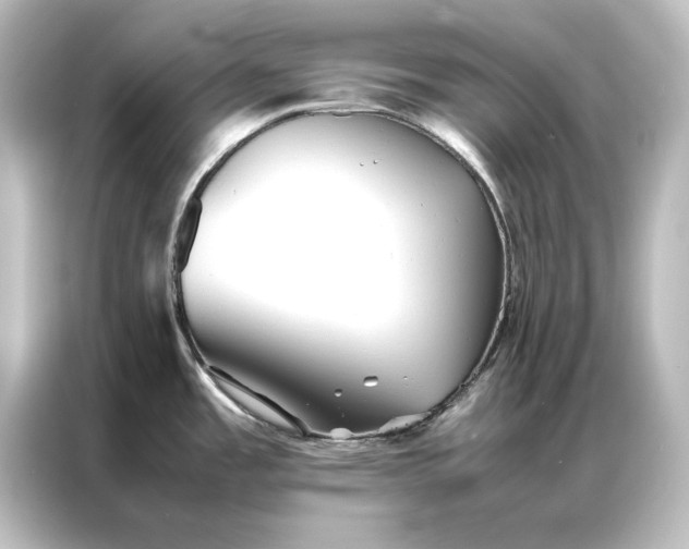 X0000087061485200705021207