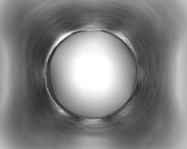 X0000087061486200705021206