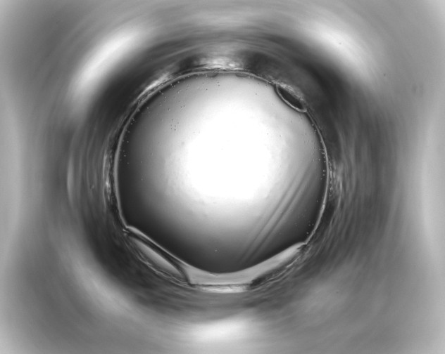 X0000087061487200705021206