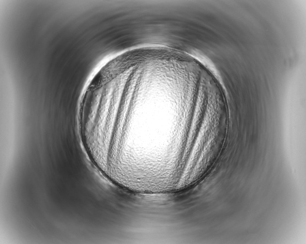 X0000087061488200705021206