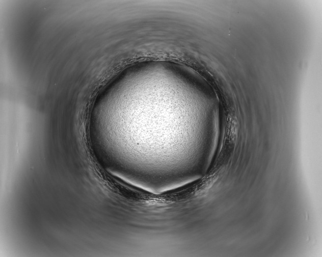 X0000087061489200705021206