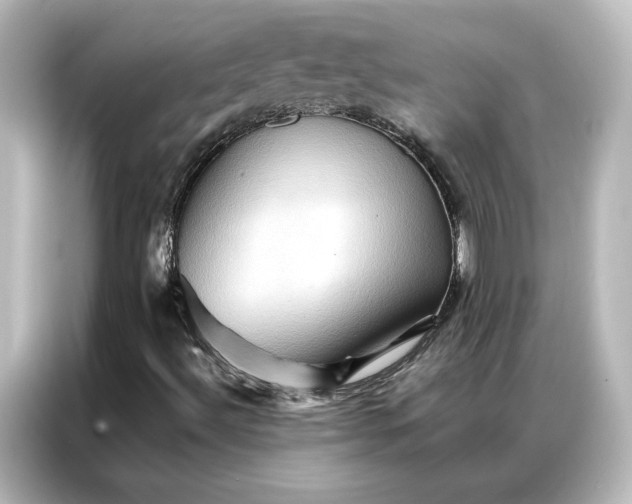 X0000087061492200705021206