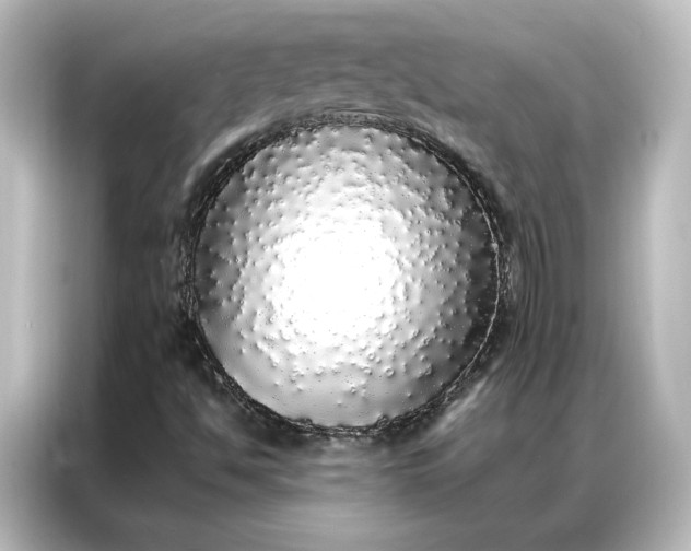 X0000087061494200705021206