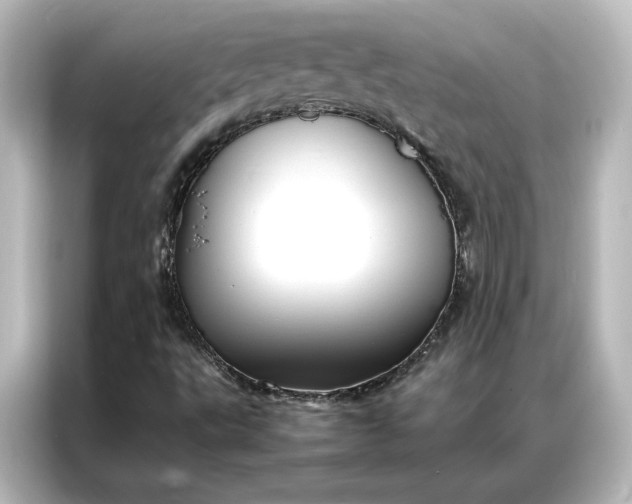 X0000087061495200705021206