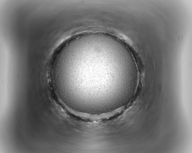 X0000087061496200705021206