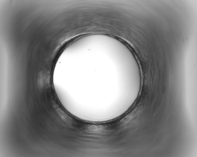 X0000087061499200705021206