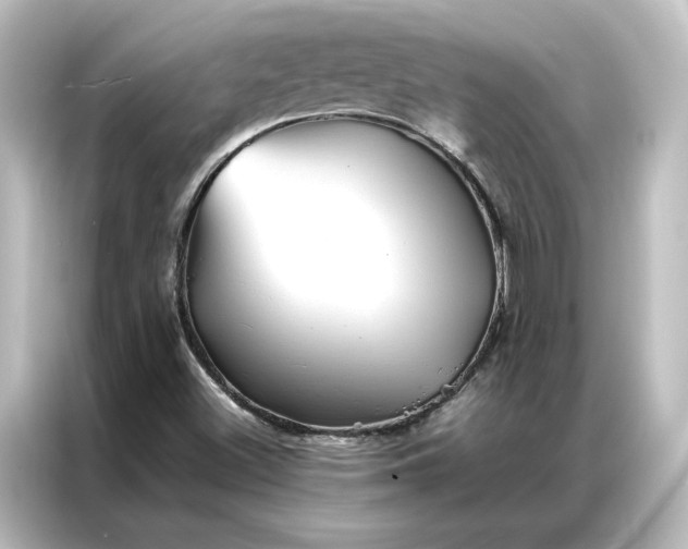 X0000087061500200705021206