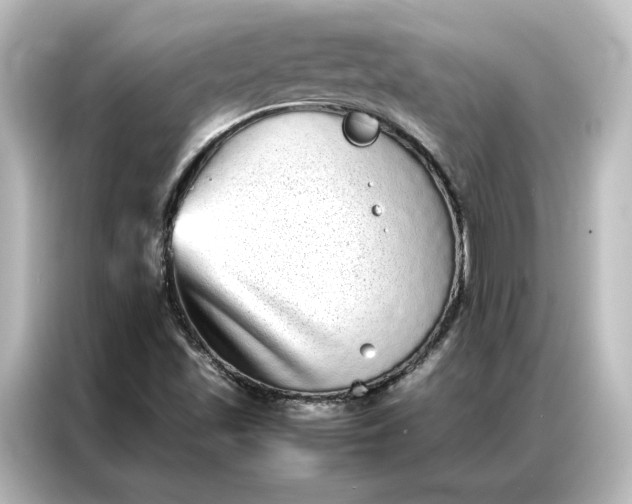 X0000087061501200705021206