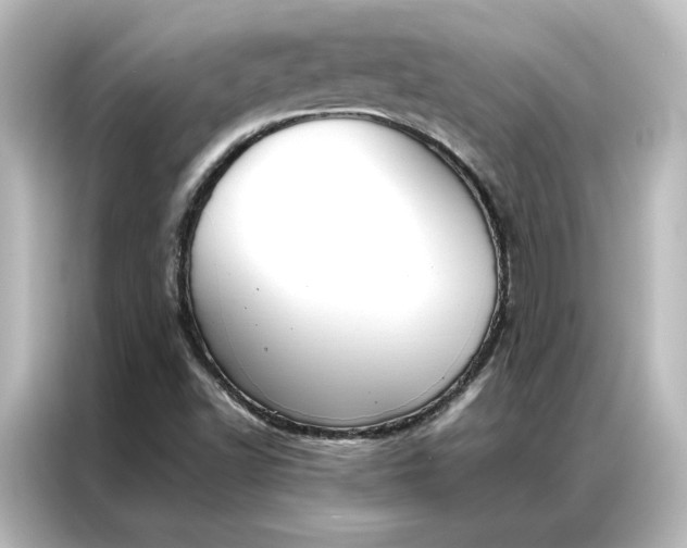 X0000087061502200705021206