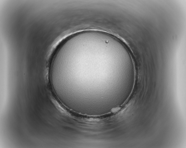 X0000087061503200705021206