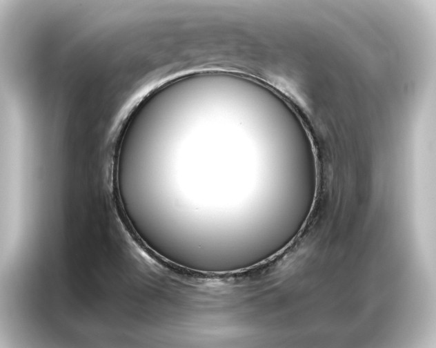 X0000087061504200705021206