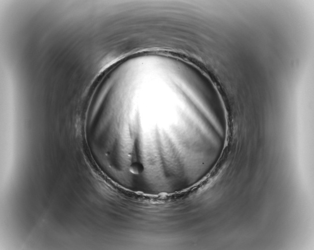 X0000087061505200705021206