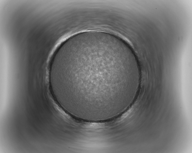 X0000087061506200705021206