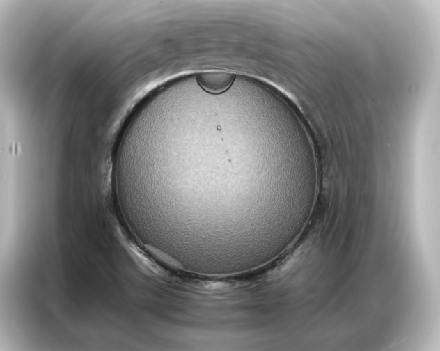 X0000087061507200705021206