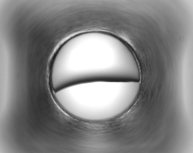 X0000087061508200705021206