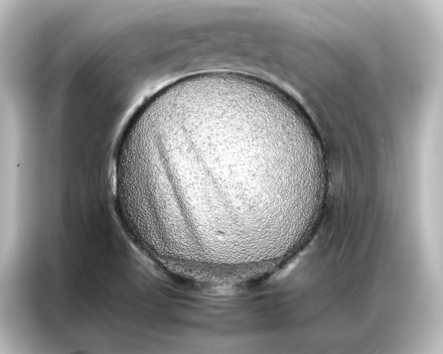 X0000087061509200705021206