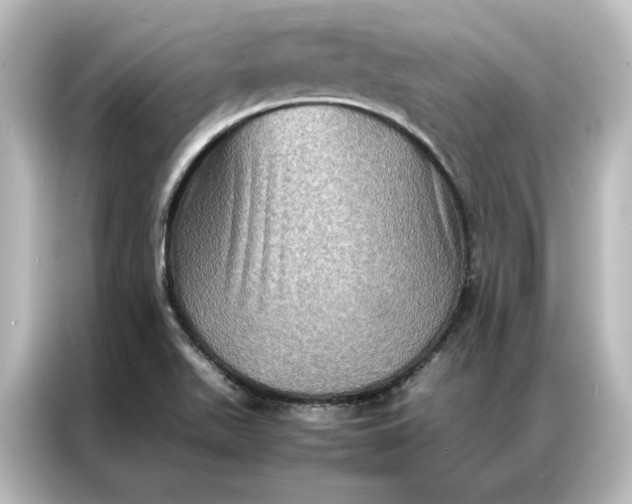 X0000087061511200705021206