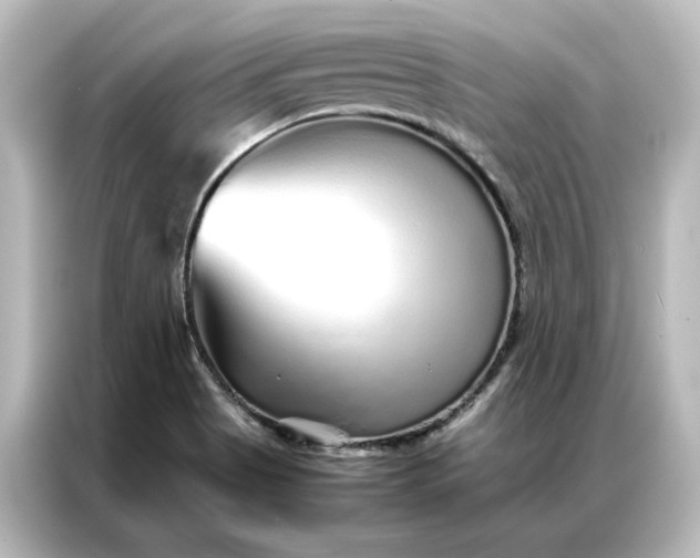 X0000087061513200705021206